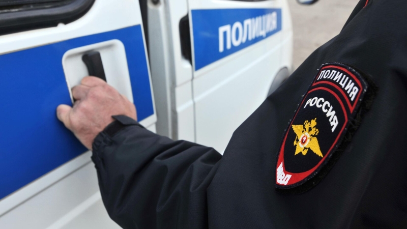 При нападении алабая во Владимире пострадал полицейский, его напарник применил оружие